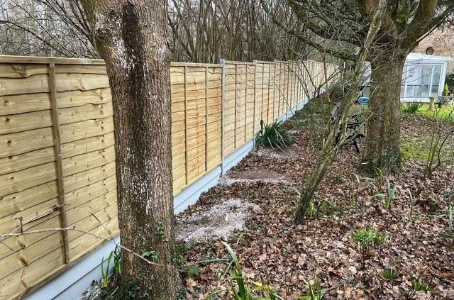Larch-lap fencing panels installed behind tree-line